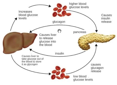 Sugar Control LI4 Acupressure Point Clip (Magnetic)