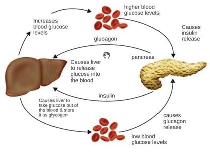 Sugar Control LI4 Acupressure Point Clip (Magnetic)